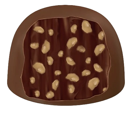 Bombom de Chocolate Meio Amargo
com Recheio de Castanha-do-Pará